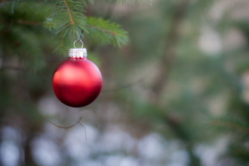 A single red Christmas ornament hanging on a pine tree with a blurred background in outdoors in November