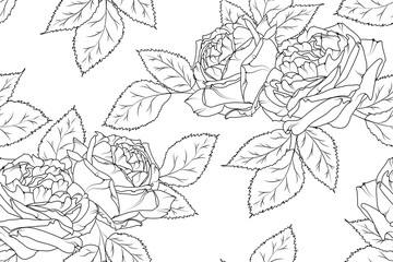 Seamless floral pattern with rose peony. Black on white background. Vector illustration.