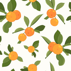 Seamless pattern with orange mandarin tangerine and leaves on white background. Vector illustration.