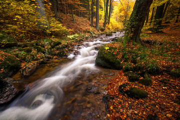 Natur und Wildnis im Herbst