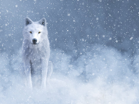 3D rendering of a majestic white wolf in snow.