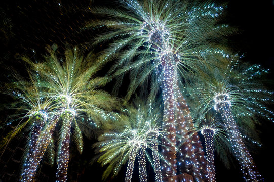 Holiday palm trees decorated with glowing Christmas lights look like New Year’s Eve fireworks under dark night sky