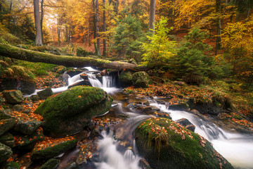Bunte Oase mitten im Ilsetal Harz. Wasserfälle schlängeln sich durch große Steine im Herbst