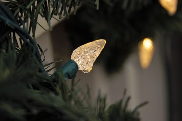 Christmas lights on iced green garland 