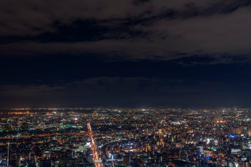 Fototapeta na wymiar [大阪府]大阪の夜景