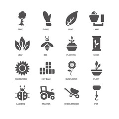 Pot, Seeds, Planting, Ladybug, Plant, Tree, Leaf, Sunflower, Whe