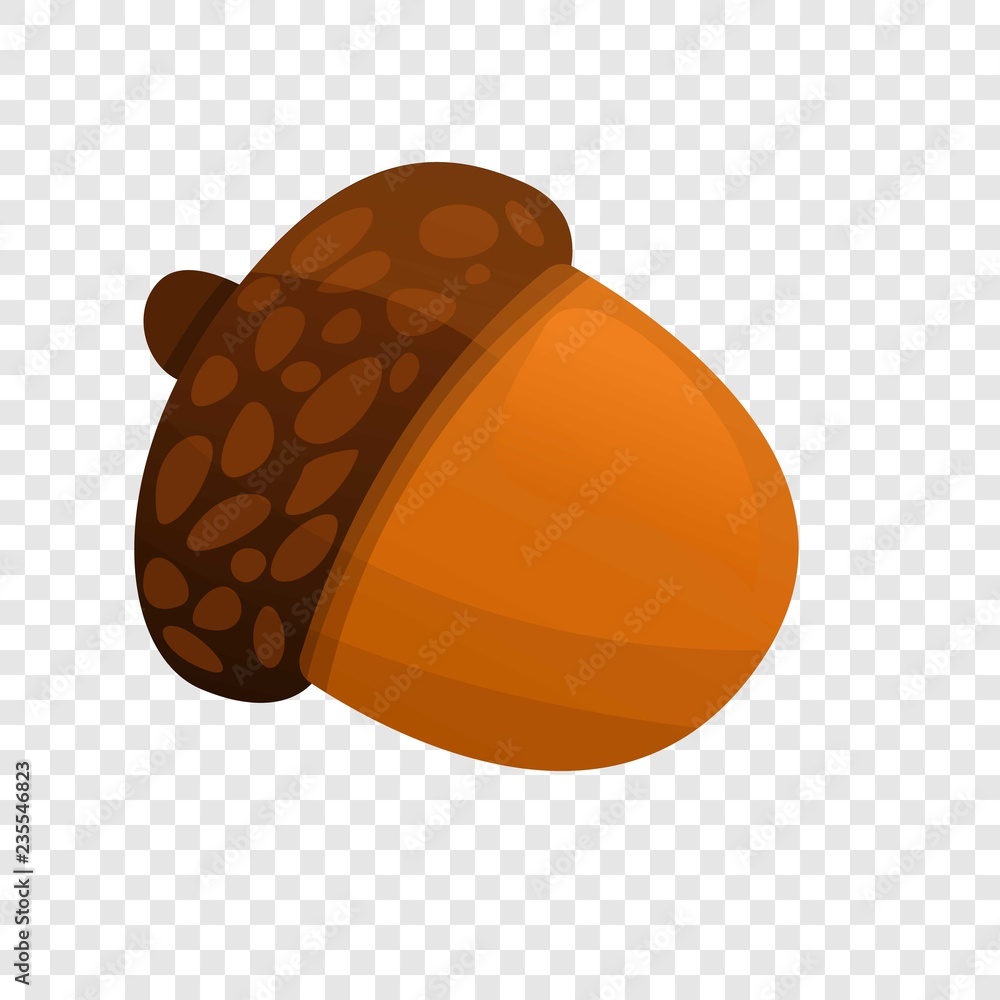 Poster acorn icon. cartoon of acorn vector icon for web design