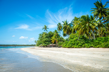 Bright tropical view of deserted coastline with a rustic wooden shack nestled into green palm trees on the shore of a remote island in Bahia, Brazil