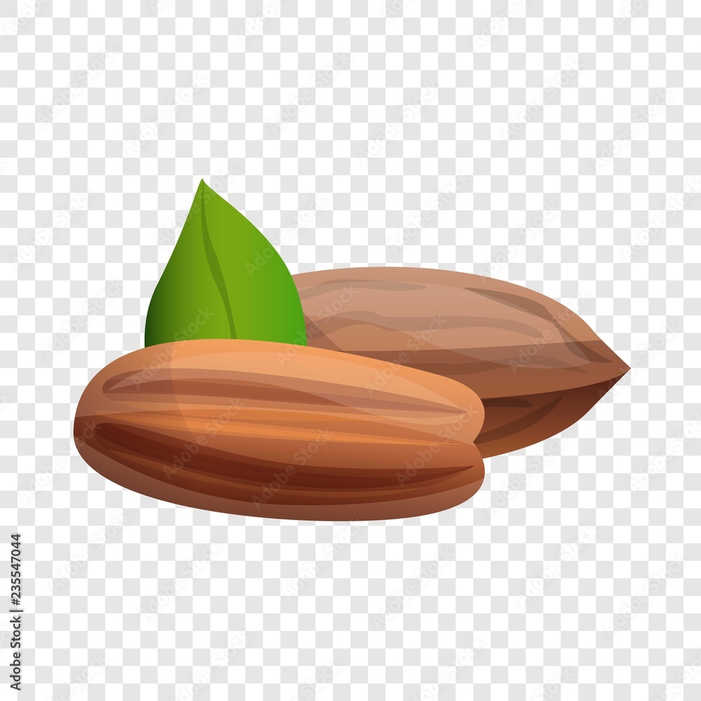Aufkleber pecan icon. cartoon of pecan vector icon for web design