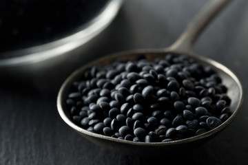 Fototapeta na wymiar Heap of black organic beluga lentils in metal spoon on black stone