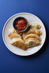 asian food. fried dumplings