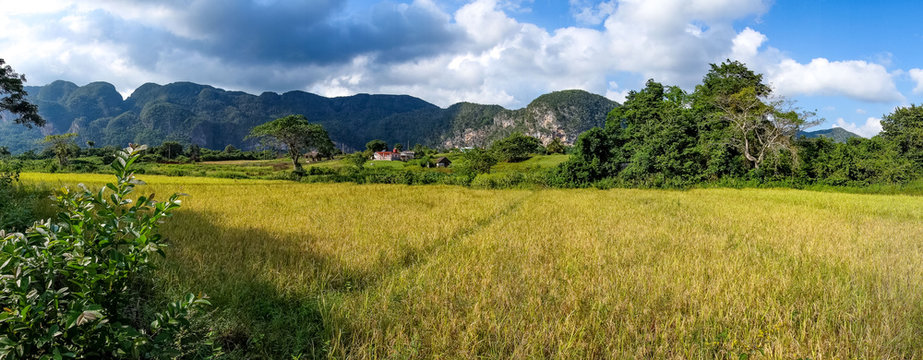 Cuba Vinales Nature