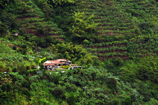 Foggy landscape in Buenavista, Quindio, Colombia, South America