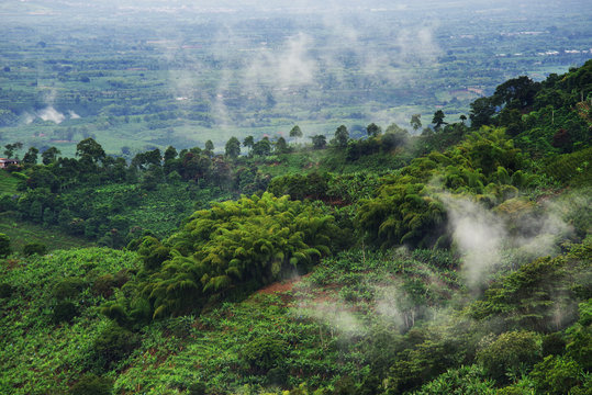 Foggy landscape in Buenavista, Quindio, Colombia, South America