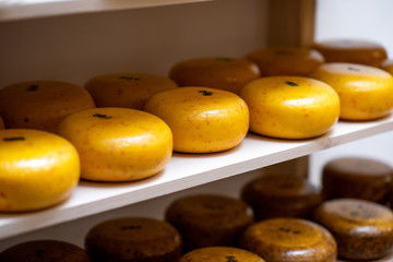 Cheese wheels on the shelf of the storage during the aging process