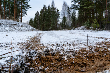 Car Tire Marks on an Empty Field Covered With Snow, Wood in the Background - Cloudy Day