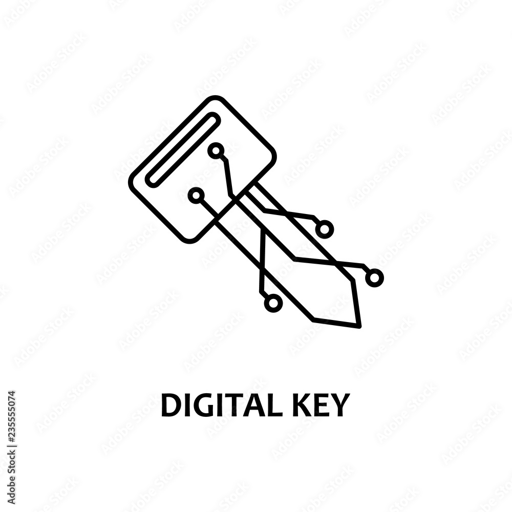 Poster digital key icon with name. element of crypto currency for mobile concept and web apps. thin line di