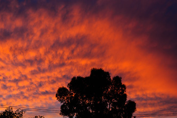 atardecer