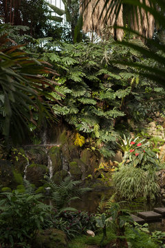 Botanical Garden