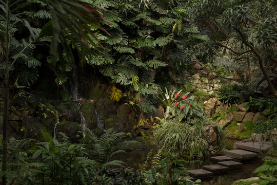 Botanical Garden