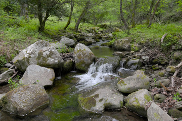 Mountain Creek, Sicily