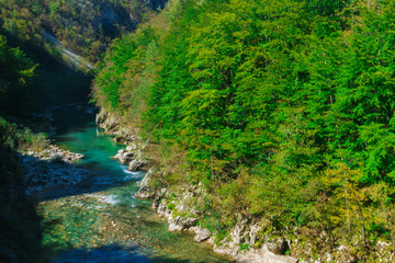 Fototapeta na wymiar the gorge of the river Tara in Montenegro surrounded by picturesque mountains.Europe