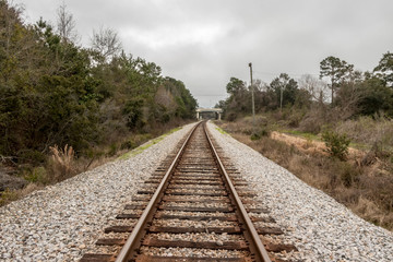 railway in forest