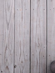 Wood grain texture planks boards white gray knots 