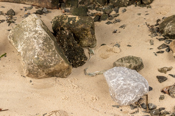 Rocks on the beach