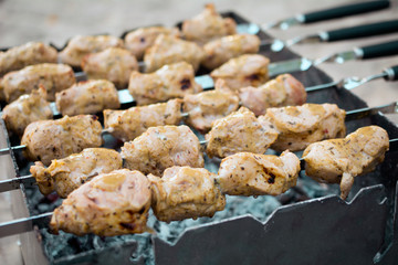 Shashlik or Shish kebab popular in Eastern Europe
