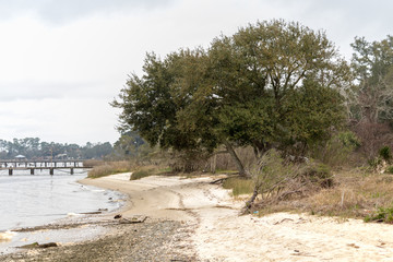 Beach on the bay