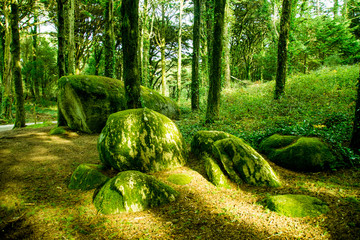 Fototapete bei efototapeten.de bestellen   