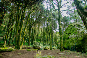 Fototapete bei efototapeten.de bestellen   