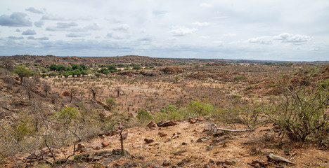 Limpopo Landscape