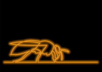 continuous line drawing of isolated vector object - honey bee with neon vector effect