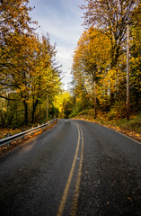 Winding road along autumn forest