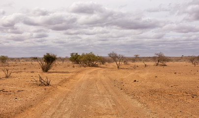 Limpopo Dirt Track