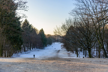 Outdoor winter scenery snowy landscape of Volkspark Rehberge, Goethe Park and Rathenaubrunnen in Wedding district, in Berlin, Germany.