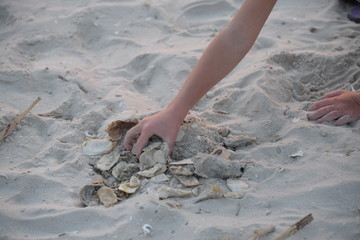 Hand in the sand