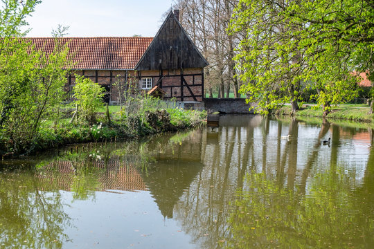 Fr&uuml;hling am Haus Runde
