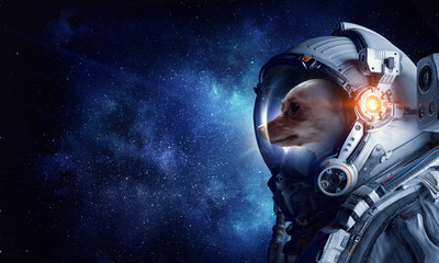 First trip to space. Mixed media