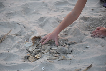 Hand in sand at the beach