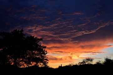 silhouette tree amazing cloud sky sunset / orange dark storm scary dramatic clouds