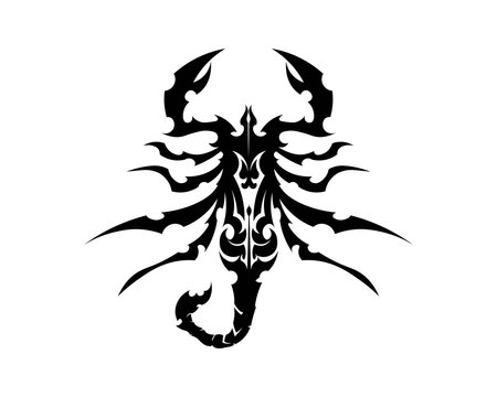 Scorpion Logo Template Vetor illustration