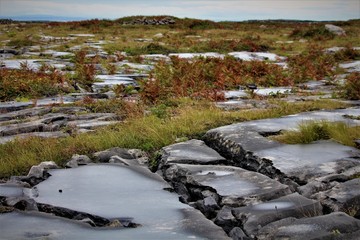 The Burren In Ireland Is A Barren Landscape Created By Glaciers