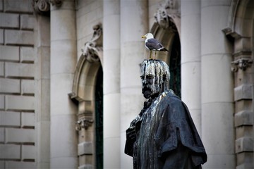 Bird Pooping On A Statue Outside City Hall In Belfast