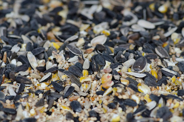 Closeup of birdseed