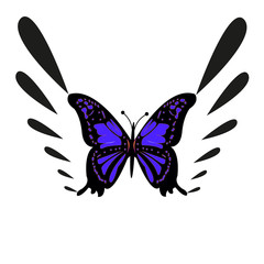 Realistic butterfly icon isolated on white background. Vector illustration.