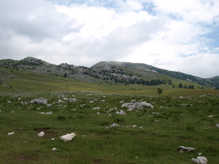 Bosnia