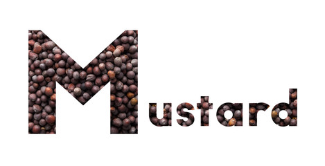 The word Mustard with black mustard seeds isolated on white